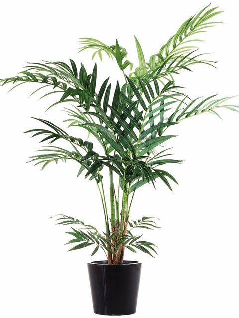 planta-artificial